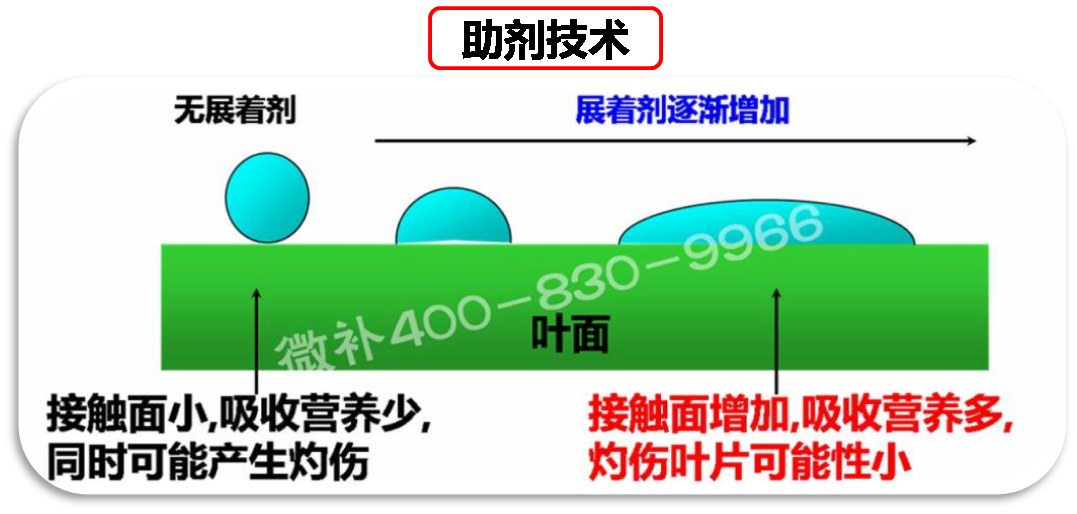 余教授德國(guó)鄉(xiāng)村行：我在德國(guó)為什么不會(huì)點(diǎn)啤酒了？