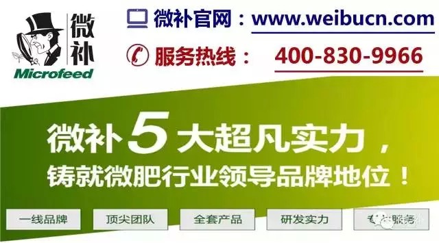 【余教授奧地利鄉村行：音樂之聲把游客帶到了薩爾斯堡】