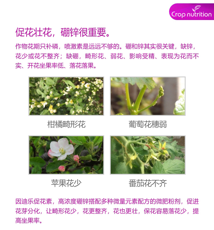 因迪樂有機促花素_02.jpg