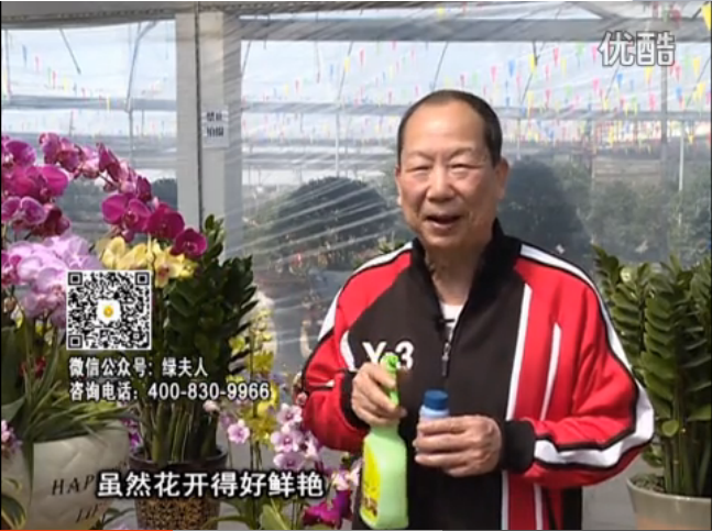 20160314珠江臺搖錢樹：家種鮮花、鮮切花，用綠夫人600度鮮花液保花艷、花期長